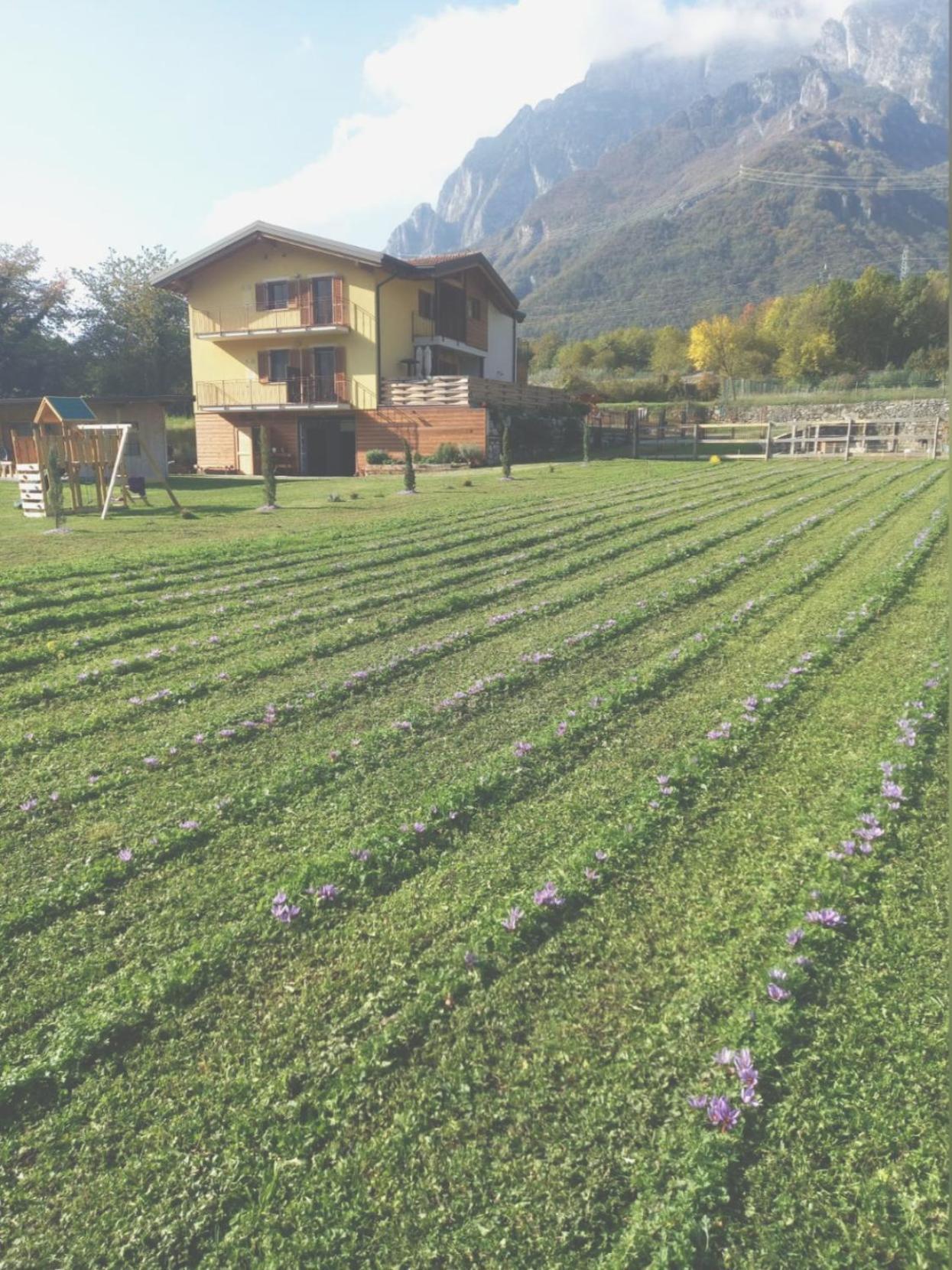 Azienda Agricola Agriturismo I Sei Petali Capo di Ponte Екстер'єр фото